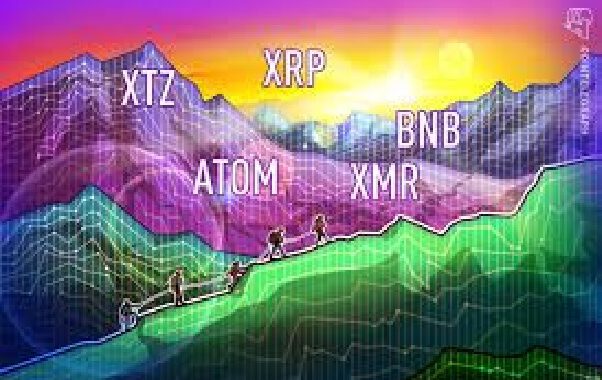 Top 5 coin hoạt động tốt nhất tuần trước: XTZ, ATOM, XRP, XMR, BNB